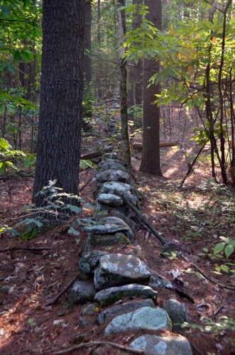 Stone wall in New England