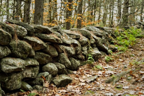 Stone Wall in autumn