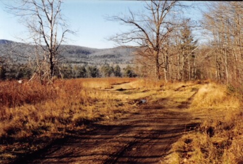 Photo of a field in late Autumn