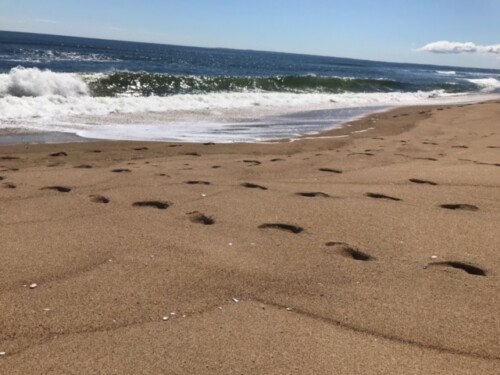 Footsteps in the sand