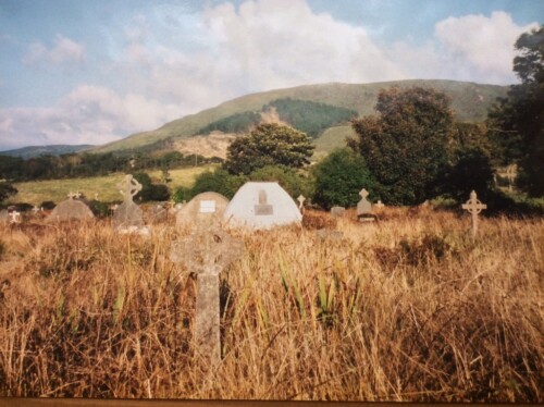 Photo of Field in Ireland