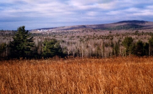 Farm in Maine with tall grass in foreground