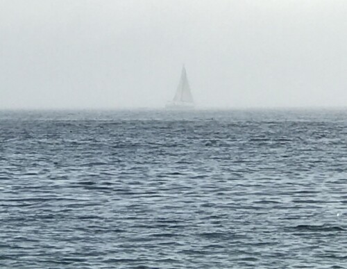 sailboat in the fog