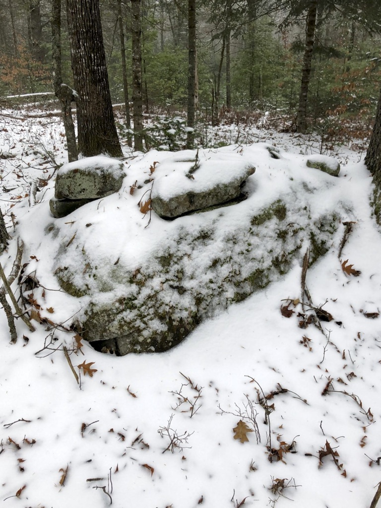 Bottle Rock – December's Flower